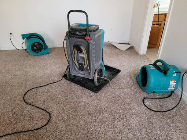 Best Carpet and Upholstery Water Damage Restoration in Erin, TN